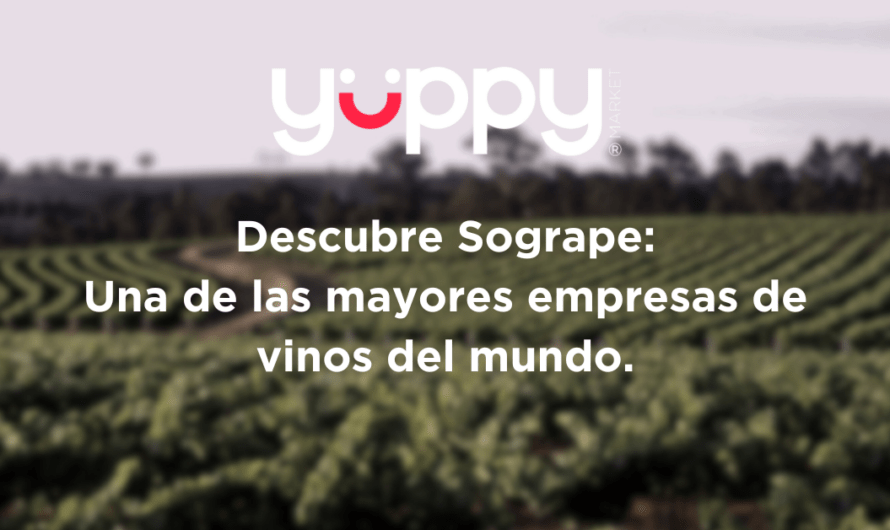 Sogrape: Un Viaje de Excelencia Vitivinícola